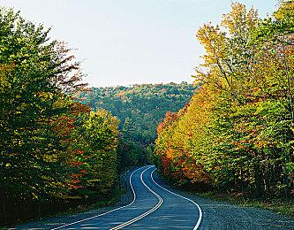 Techland注册新商标《消逝的光芒：野兽》 或将是新DLC